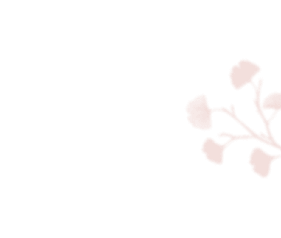 https://theokwarawedding.com/wp-content/uploads/2020/12/shadow_leaves_05.png