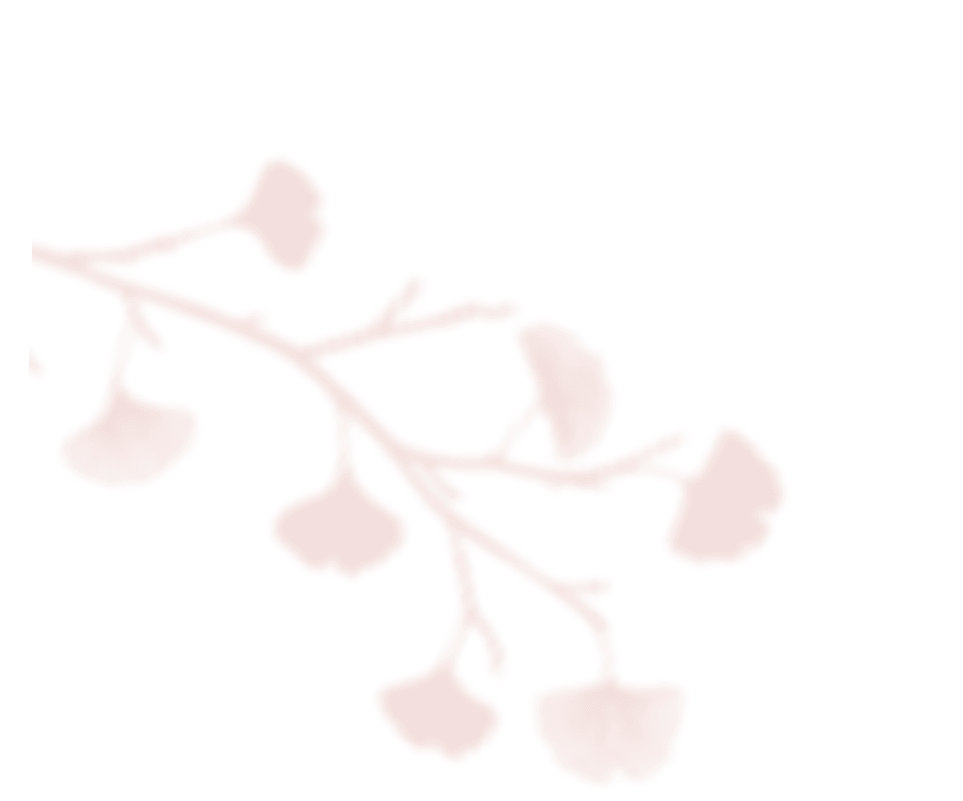 https://theokwarawedding.com/wp-content/uploads/2020/12/shadow_leaves_06.png