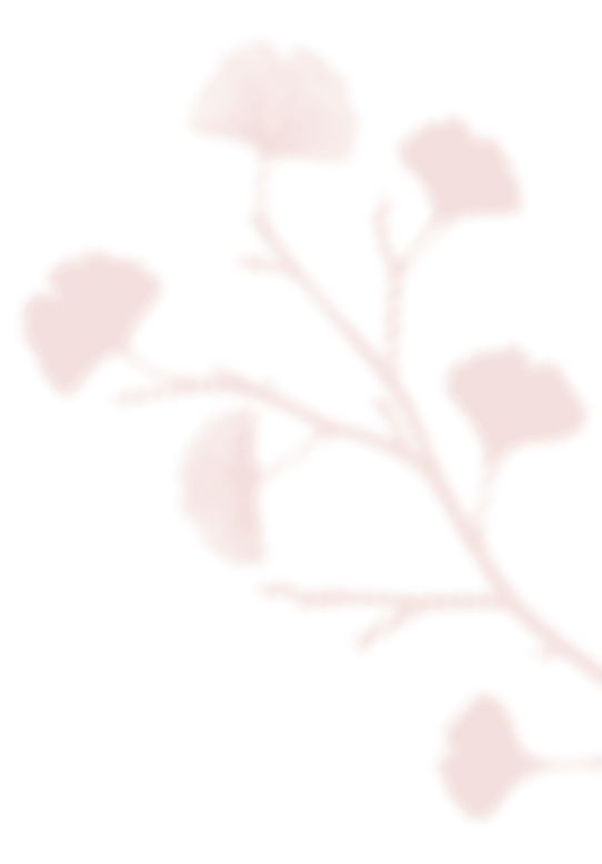 https://theokwarawedding.com/wp-content/uploads/2020/12/shadow_leaves_07.png
